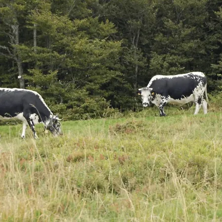 Le Proche Randonnees