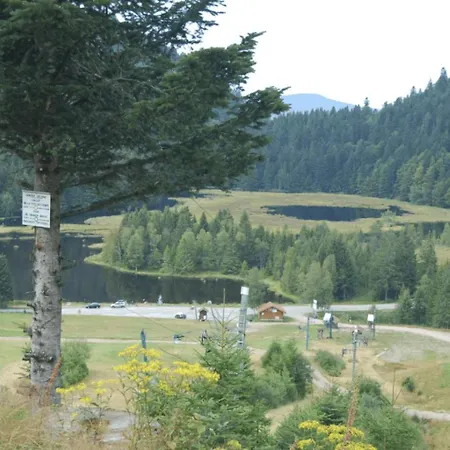 Le Proche Randonnees La Bresse