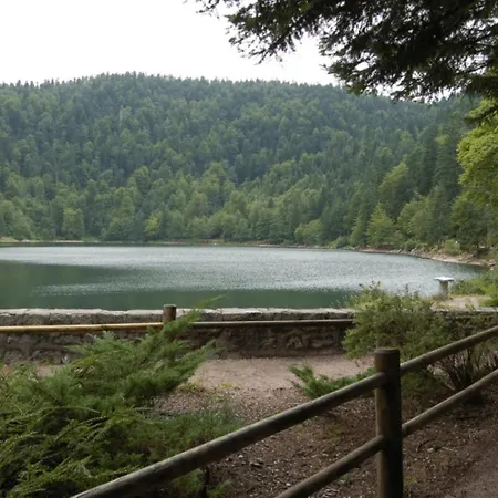 Le Proche Randonnees La Bresse