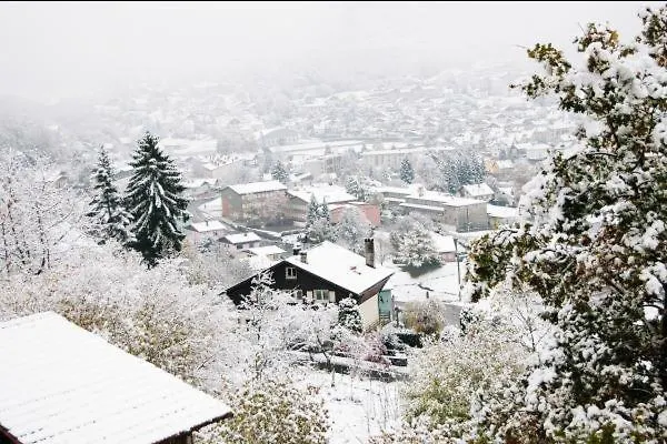 Le Proche Randonnees La Bresse