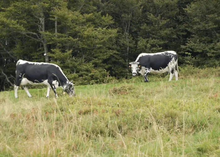 Le Proche Randonnees