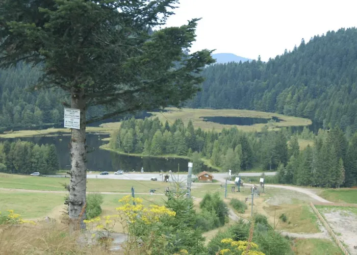 Le Proche Randonnees La Bresse