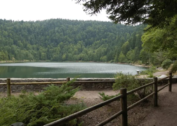 Le Proche Randonnees La Bresse